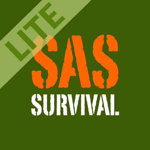 sas software 9.2 free download for windows 10 64 bit